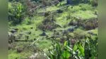 SPRM dalam proses dapatkan dokumen berkaitan pencerobohan tanah di Raub