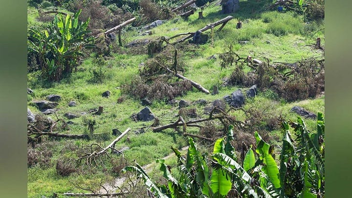 SPRM dalam proses dapatkan dokumen berkaitan pencerobohan tanah di Raub SPRM dalam proses dapatkan dokumen berkaitan pencerobohan tanah di Raub