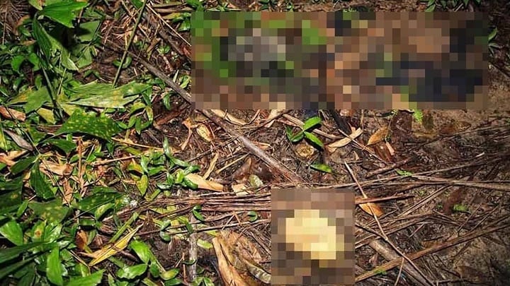 Rangka manusia ditemukan di kawasan semak belakang rumah Rangka manusia ditemukan di kawasan semak belakang rumah