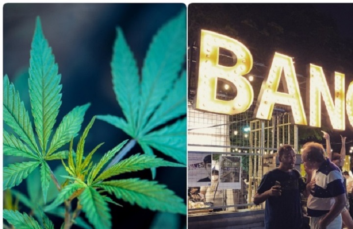Thailand bakal memperketatkan kembali peraturan ganja Thailand bakal memperketatkan kembali peraturan ganja