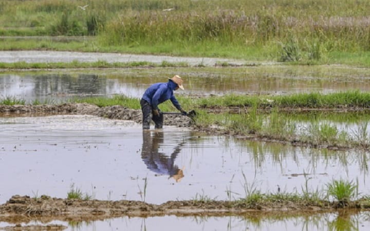 Kerjasama KPKM, agensi berkaitan pastikan pelaksanaan bantuan pesawah, pekebun kecil capai matlamat