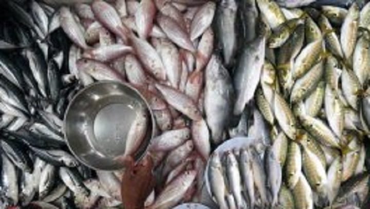 Bekalan ikan tangkapan laut masih mencukupi – Mohamad