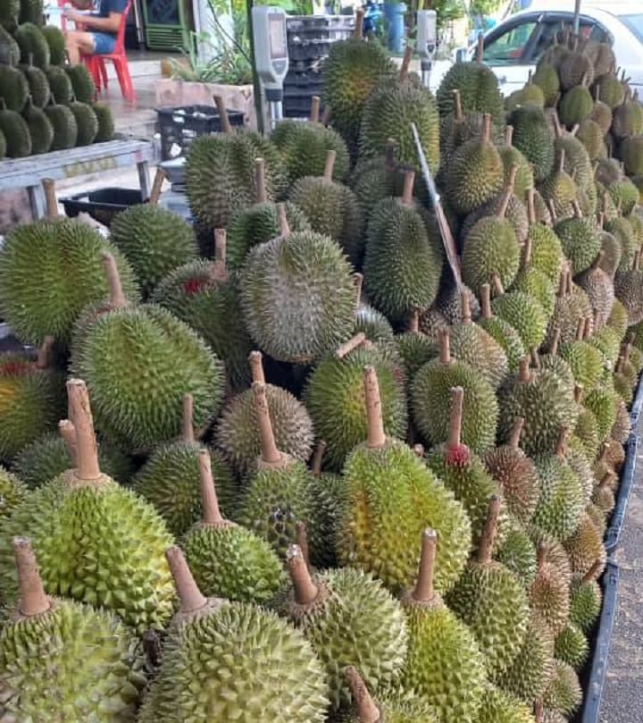 Pulau Pinang bantu pengeksport tangani lambakan durian