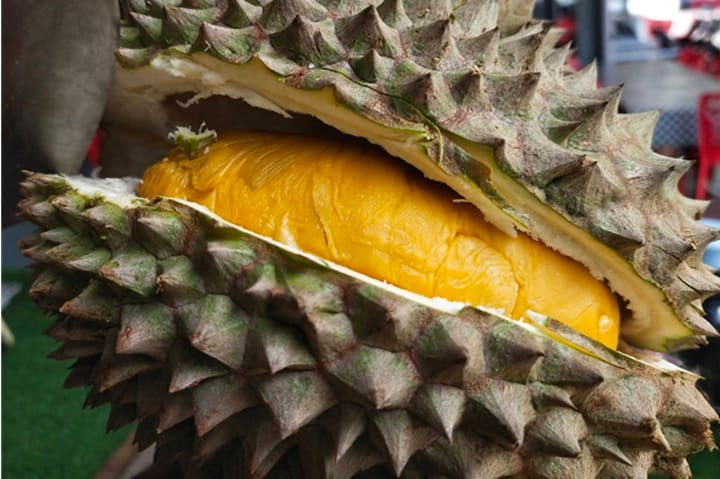 Malaysia sasar eksport durian ke China RM932.3 juta menjelang 2030 Malaysia sasar eksport durian ke China RM932.3 juta menjelang 2030