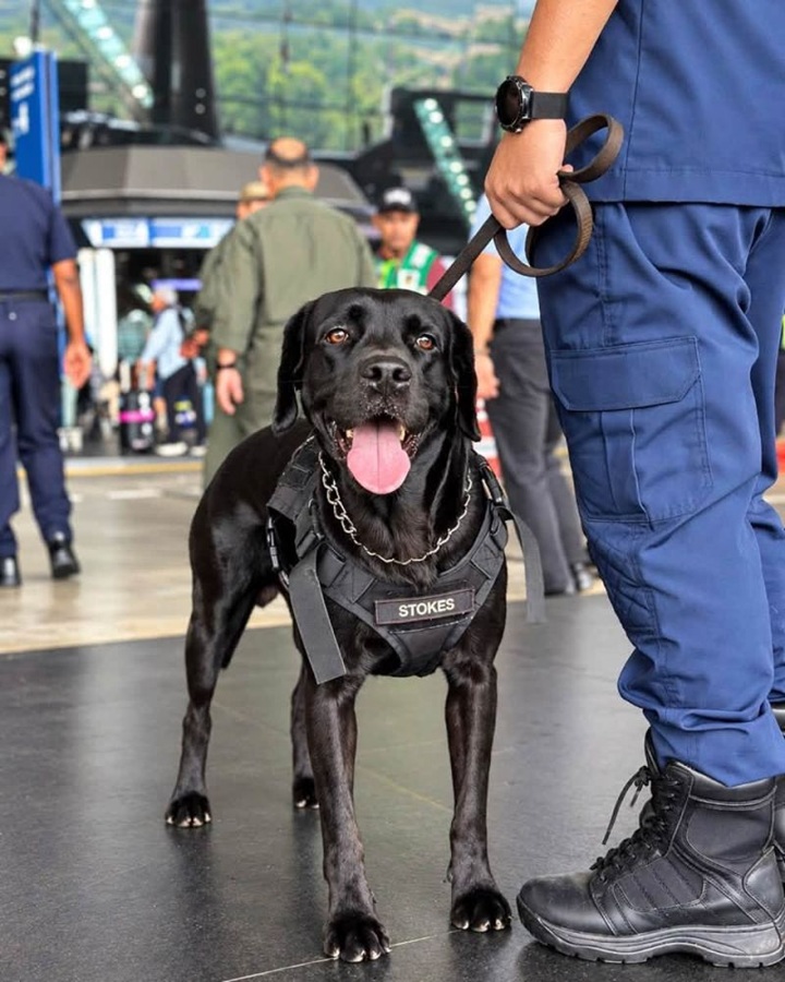 Penugasan Unit K9 di KLIA bermula Isnin – MAHB Penugasan Unit K9 di KLIA bermula Isnin – MAHB