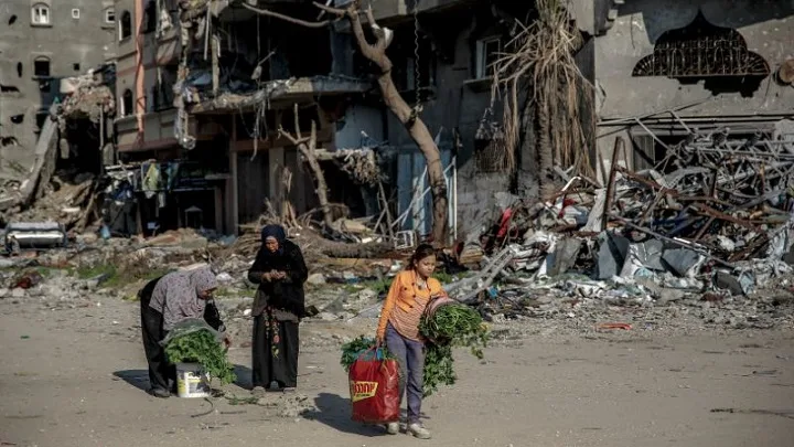 Rakyat Palestin hilang lebih daripada sekadar tempat tinggal Rakyat Palestin hilang lebih daripada sekadar tempat tinggal